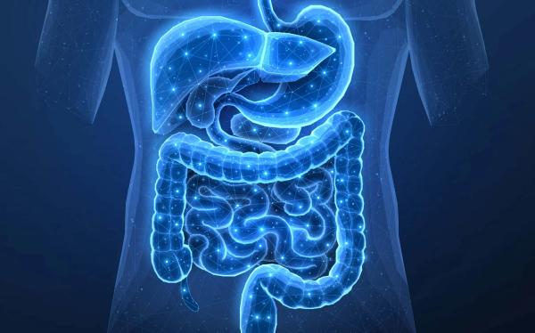The gut barrier: Digestive health’s next frontier