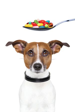 The Growing Pet-Supplements Market