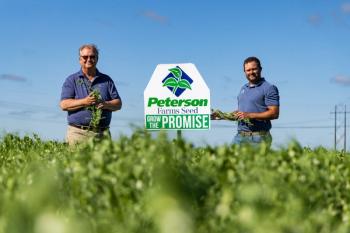 Equinom, Peterson Farms Seed partner to propagate next-generation yellow pea for ultra-high-protein ingredients