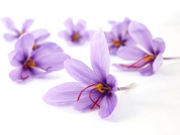 Affron saffron ingredient receives US patent for mood support
