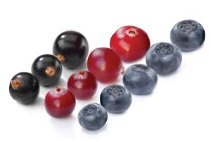 In Response: Superfruit Staying Power