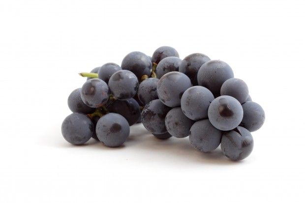 Photo © Shutterstock.com/pkstock