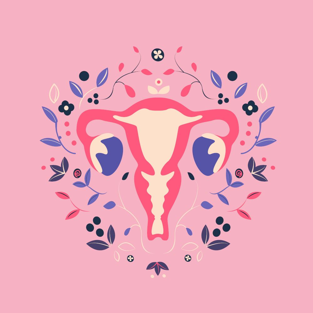 menopause illustration