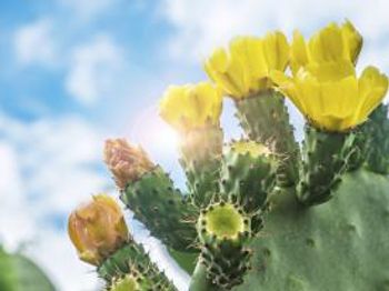 Photo © iStockphoto.com/graffio77