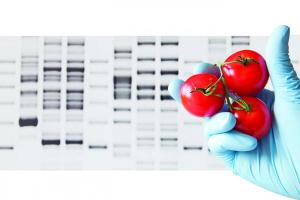 How to Source Non-GMO Ingredients and Suppliers