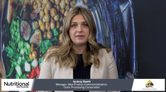 Plant Protein Trends: Why Faba Beans Are on the Rise