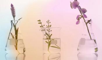 Sensegen, the biotech-ingredient joint venture of Blue California and Conagen, steps forward with its own website