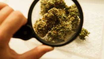 What health benefits do other hemp cannabinoids beyond CBD offer?