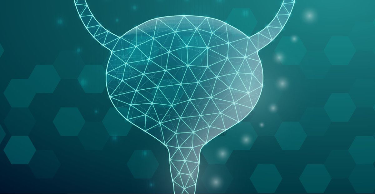 illustration of bladder