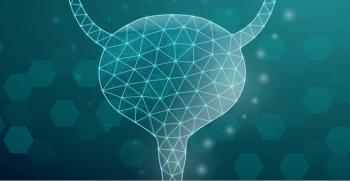 illustration of bladder