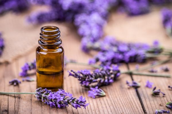 Widespread Adulteration Detected in Amazon Lavender Essential Oil Offerings