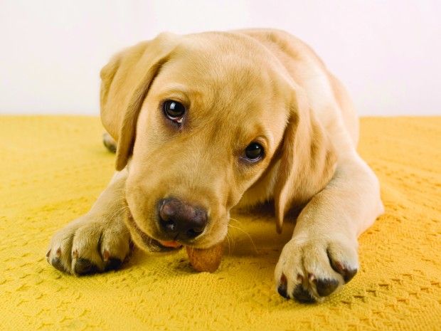 Fotoğraf © iStockphoto.com/travellinglight