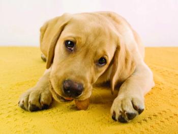 Photo © iStockphoto.com/travellinglight