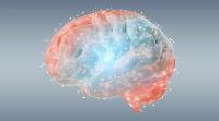 Tocotrienols and Brain Health: Review Links Sleep, Glymphatic Function, and Vascular Disease