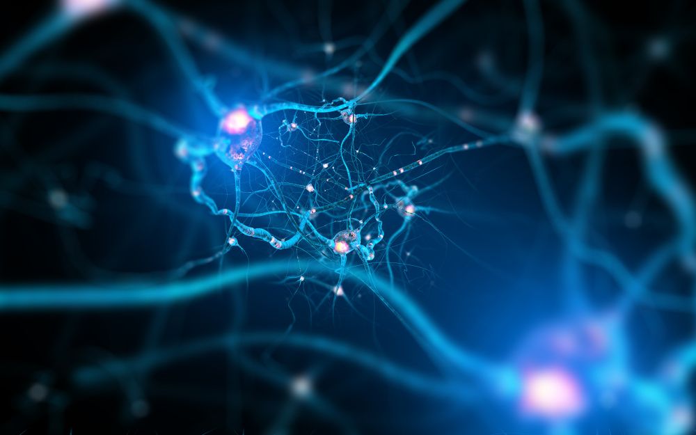 Novozymes to discuss nerve health research on MenaquinGold vitamin K2 ingredient: 2023 Natural Products Expo West Preview