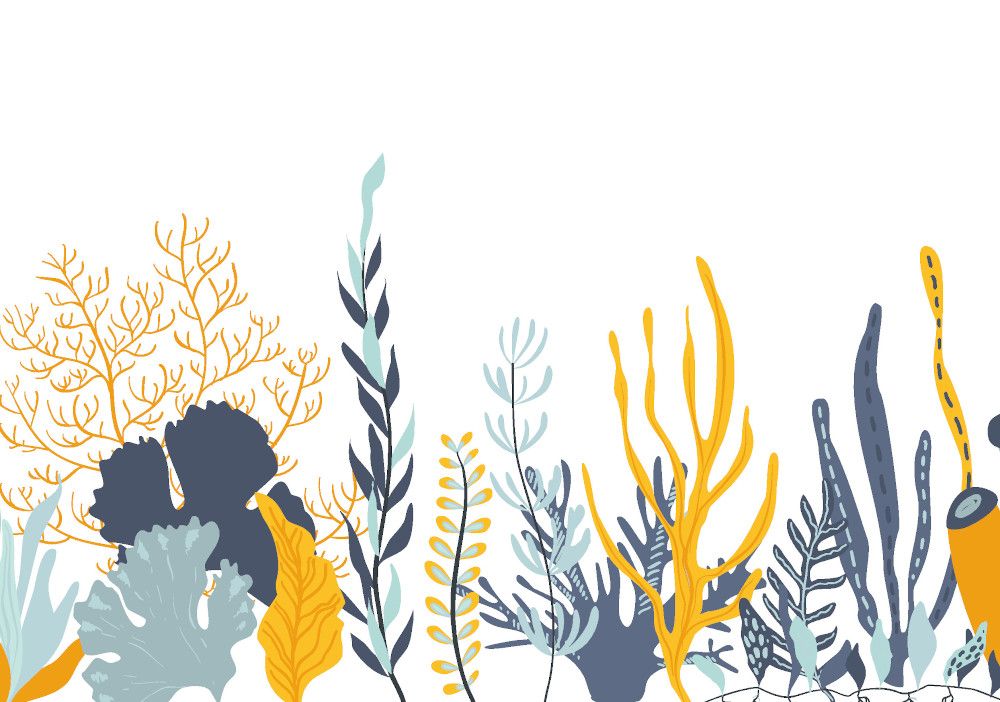 Making marine health ingredients better for dietary supplements, food