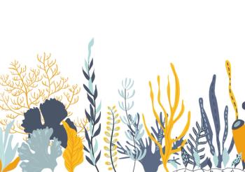 Making marine health ingredients better for dietary supplements, food