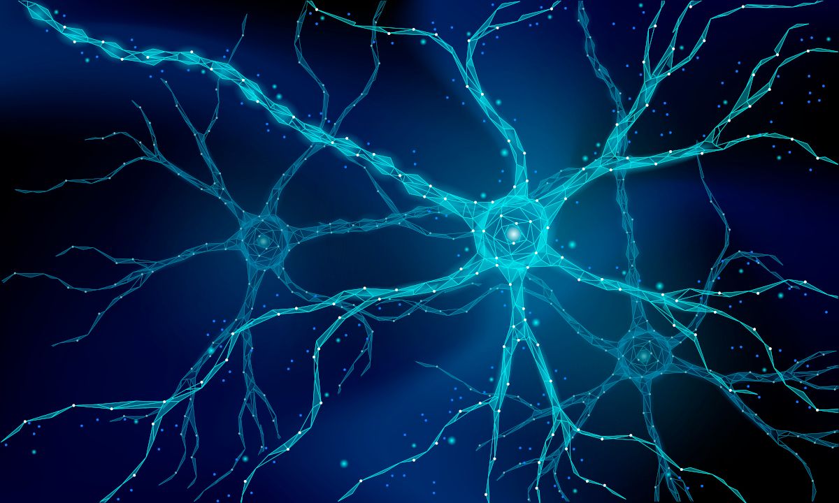 illustration of neurons