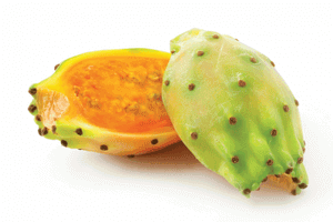 Ingredient Spotlight: Prickly Pear