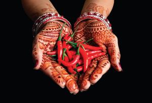 How Do FDA and FTC Regulate Ayurveda Products?