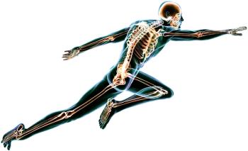 Photo © iStockphoto.com/Devrimb