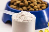 Pet Health Supplements: 2026 Trends for Manufacturers