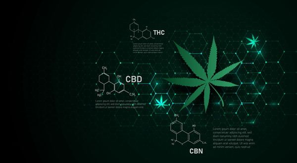 How nonpsychoactive cannabinoids can shape functional health
