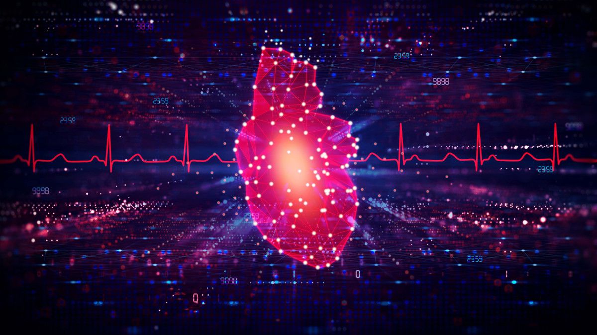 illustration of heart