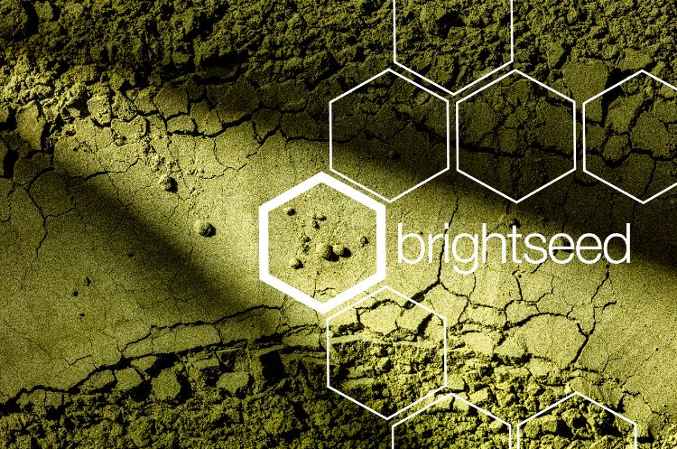 Brightseed announces new phytonutrient discoveries for liver and metabolic health