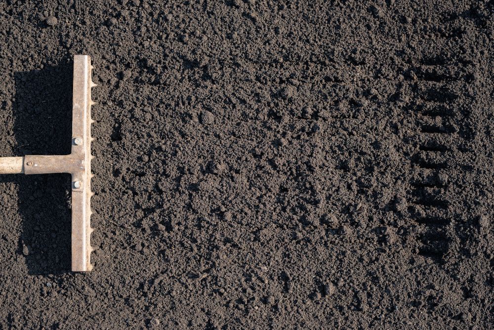 Tough row to hoe? What improvements are still needed in the plant-protein ingredient space?