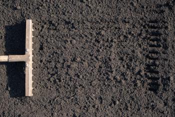 Tough row to hoe? What improvements are still needed in the plant-protein ingredient space?