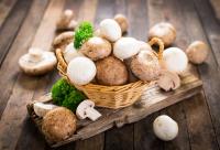 Monterey Nutra Doubles Manufacturing Capacity to Meet Rising Demand for US-Grown Mushroom Ingredients