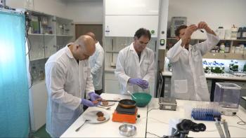 Yemoja developing red microalgae for ‘bloody’ plant-based burgers, steaks