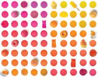 Fermentation-Based Natural Food Colors Gain Momentum as Phytolon Secures $23.6 Million Financing Round
