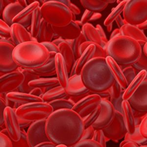 Hematologic Oncology