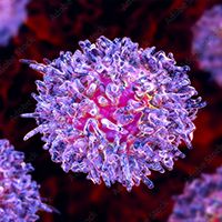 Hairy Cell Leukemia (Kateryna_Kon - stock.adobe.com) 