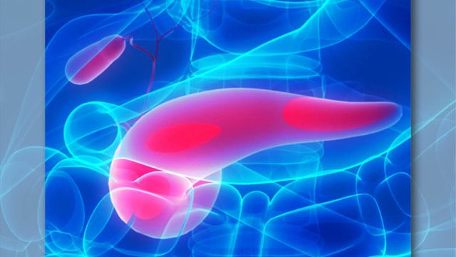 GI Malignancies | Image Credit: © magicmine – stock.adobe.com