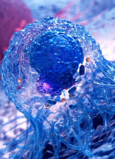 Experts outline research advancements and future directions in uveal melanoma. 