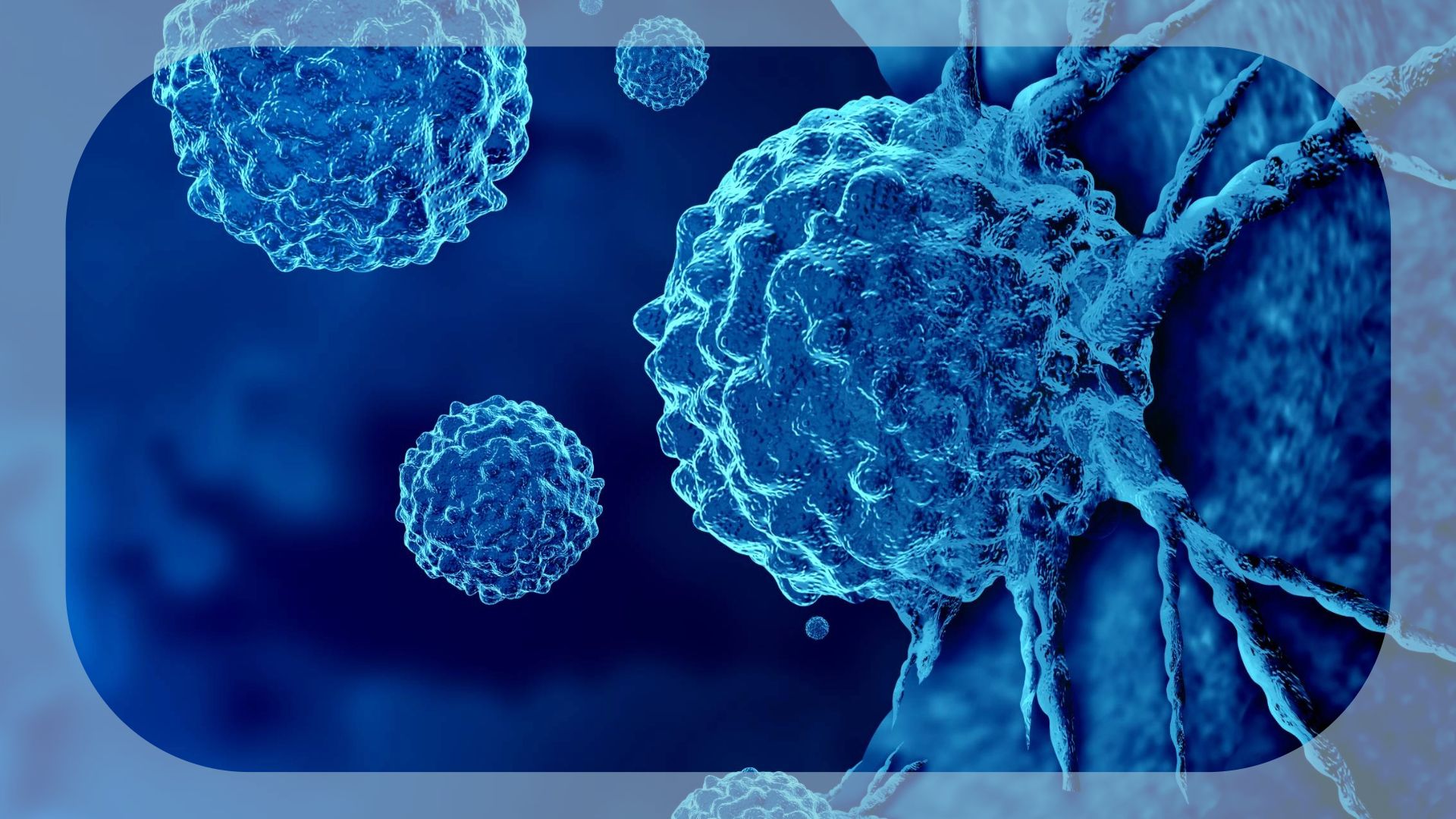 T-DXd in HER2+ Solid Tumors | Image Credit: © freshidea - stock.adobe.com