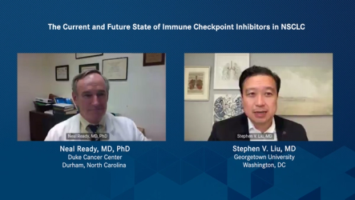 The Current and Future State of Immune Checkpoint Inhibitors in NSCLC