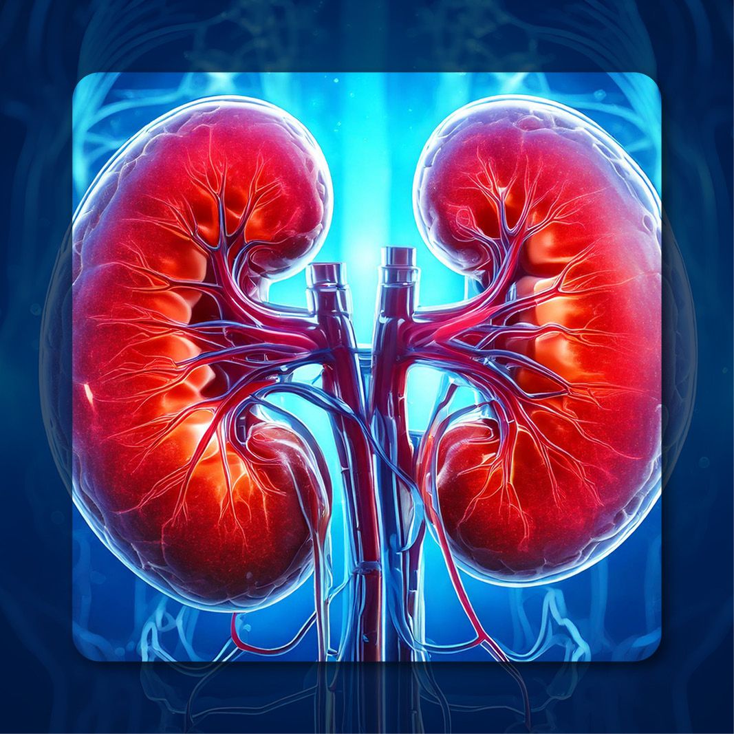 Kidney Transplant | Image Credit: ©  Kellie Ehrmann/MJH Life Sciences using AI