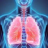 non–small cell lung cancer |   Image Credit: © yodiyim   - stock.adobe.com