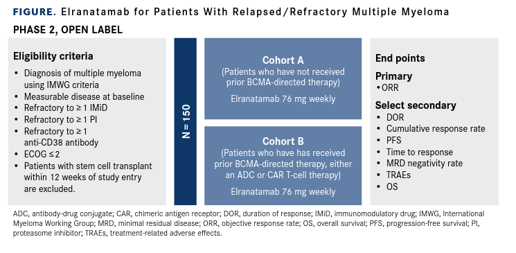 Pivotal MagnetisMM-3 Trial Aims To Add Elranatamab In Multiple Myeloma ...