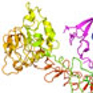 Rationalizing Treatment and Coverage Decisions With Predictive Biomarkers