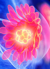 Breast Cancer | Image Credit: ©  Sebastian Kaulitzki - stock.adobe.com
