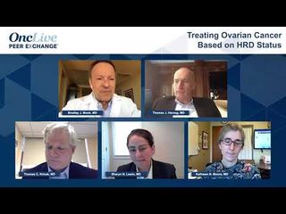 Treating Ovarian Cancer Based on HRD Status 