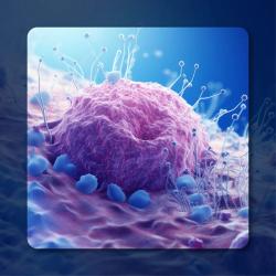 Accelerated Approval Sought for RP1 Plus Nivolumab in Advanced Melanoma