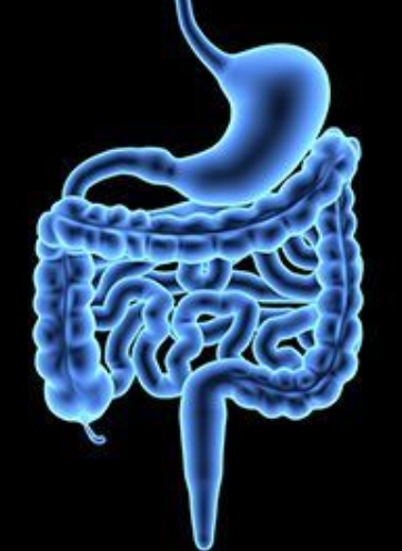 figure image