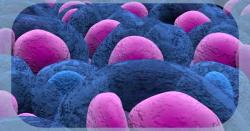 Expert-Backed Roadmap Guides Outpatient Bispecific Antibody Use in Myeloma