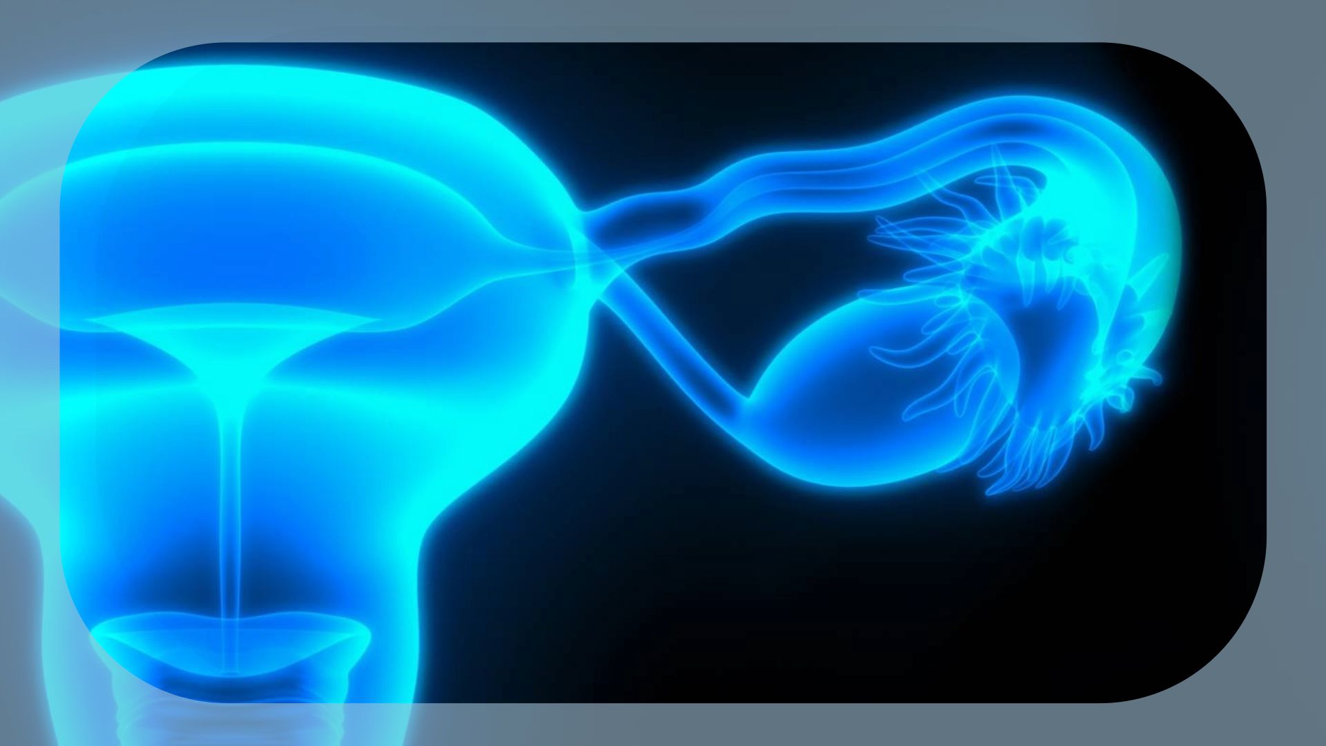 Ovarian Cancer | Image Credit: © magicmine - stock.adobe.com